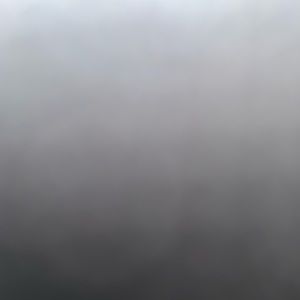 Meet your Posher, Logan